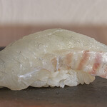 鮓 ちかもち - 料理写真:明石の鯛