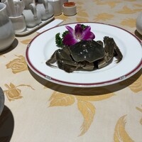 老香港酒家京都 - 