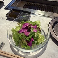 PONGA PREMIUM -  PONGA PREMIUM -