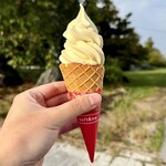 ジェラートイシズチ - 料理写真: