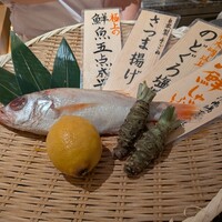 魚の中俣 銀座 - 