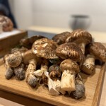 日本料理 みや  - 