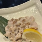 たぬき ラクーンドッグ - 