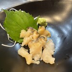 たぬき ラクーンドッグ - 