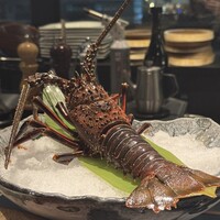 創作鉄板 蔵人 - 