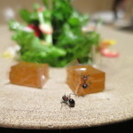 神保町 傳 - 蟻も寄りつくサラダ