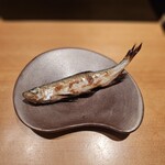 恵比寿 鮨 ふじまさ - 