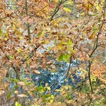 カフェ 崖の上 - 崖下の川