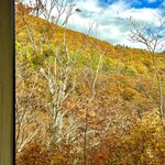 カフェ 崖の上 - 紅葉