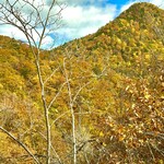 カフェ 崖の上 - 紅葉