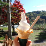 喫茶 蓼科アイス - 