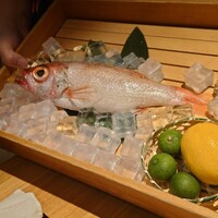 のどぐろ専門 銀座 中俣 - 