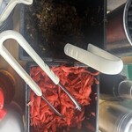 名代ラーメン亭 博多駅地下街店 - 