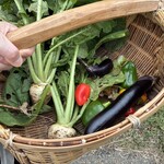 KURKKU FIELDS perus - お昼に収穫した野菜たち