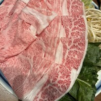 白鳥 -  白鳥 -