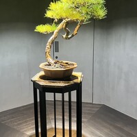 #肉といえば松田 奈良本店 - 