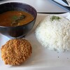 気まぐれキッチン阿久比桜坂 今日はカレーの気分!