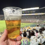 阪神甲子園球場 - 