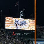 阪神甲子園球場 - 