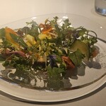 レフェルヴェソンス - 