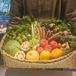 レフェルヴェソンス - 