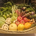 レフェルヴェソンス - 