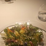 レフェルヴェソンス - 