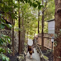 山の茶屋 -  山の茶屋 -