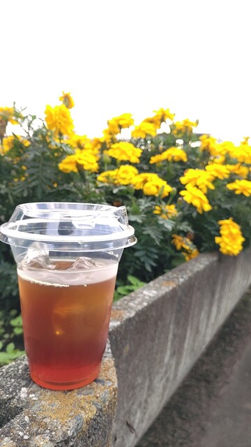 カフェ&リビング ウチダ（水沢）- 静かな雰囲気と手作りランチのカフェ