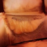 なにわ本店 - 奉書焼きをめくると