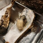 ヨシタケ食堂 - 