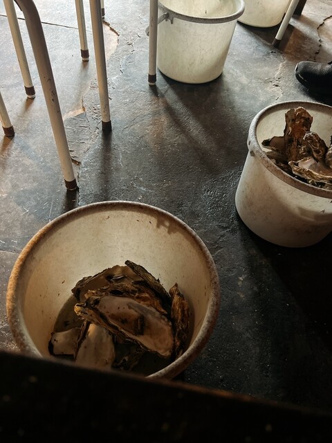 ヨシタケ食堂 - 松島海岸（海鮮）の写真