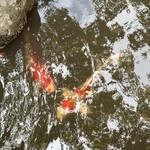 とうふ屋うかい - 