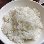 五芳斉 - ご飯は普通ですが、中盛りの量