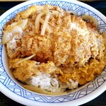 どんどん庵 - 料理写真: