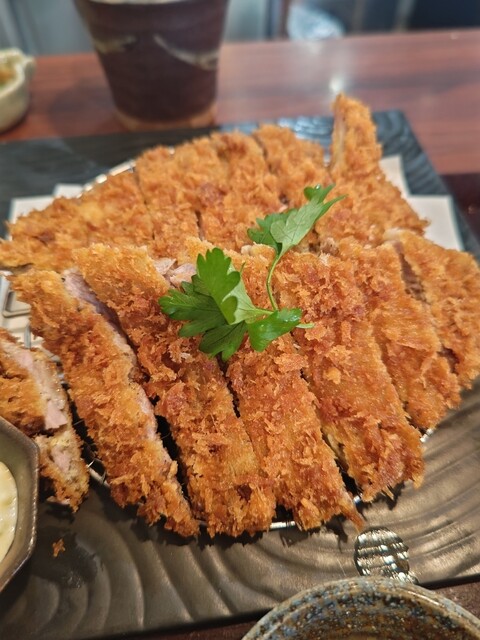 とんかつ 冷凍】ジャパンエックス ロースカツ衣付き120g×2枚 [冷凍とんかつ