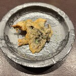 イル アオヤマ - 