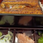 鰻の成瀬 宮崎住吉店 - 