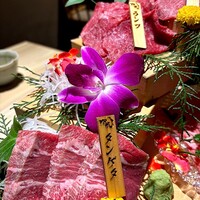 焼肉割烹 YP流 西心斎橋店 - 