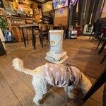 Korean Shokuyatai Saranghae - 