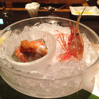 鎌倉山 横浜スカイビル店 - 海老のお刺身