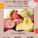 MUNYA - フリーズドライフルーツのチョコレート