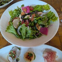 TRATTORIA PIZZERIA 207 渋谷店 - 