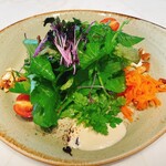 DRAWING HOUSE OF HIBIYA - 