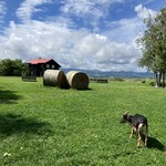 フェルム ラ・テール 美瑛 - 