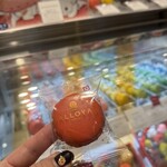 ダロワイヨ - 