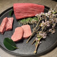 USHIGORO S. SHINJUKU - 