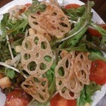 彩鳥 - 2014.11.12カラフルサラダ