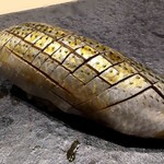 鮨 いまむら - コハダ