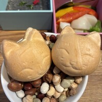 恵比寿ビストロ 猫も杓子も - 